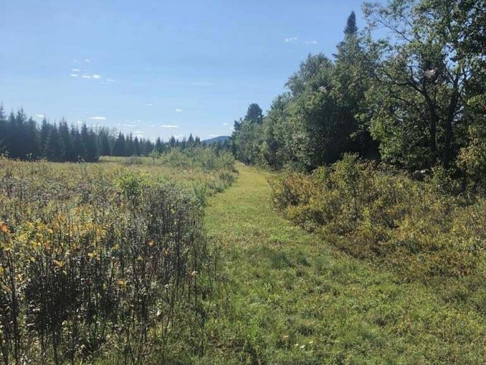 Trail2