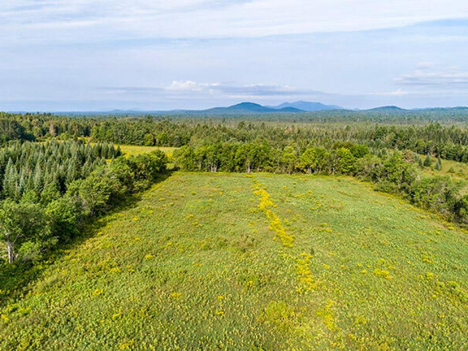 147_Private_Acres_In_Harrietstown_A_Lot_