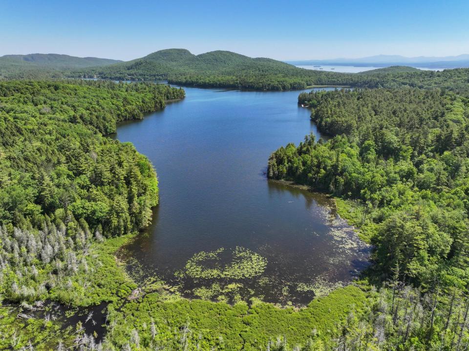 Beaver Way View 9