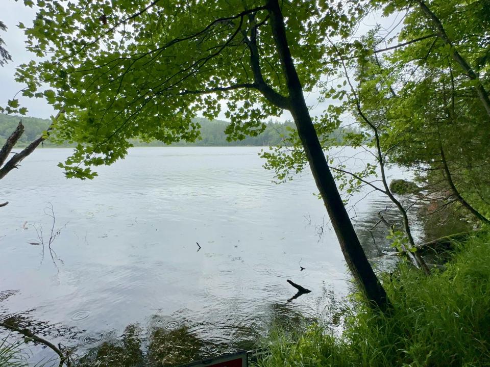 Beaver Way View  14