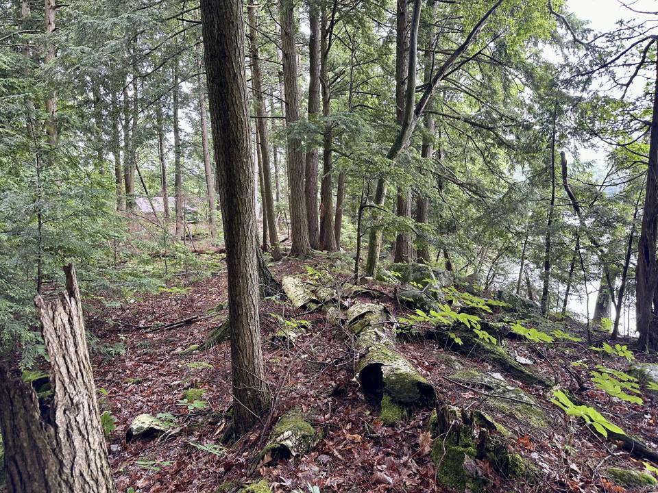 Beaver Way 20