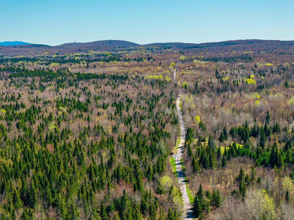 (1)_Panther Lane Forest. Southerly View (1)_Panther Lane Forest. Southerly View