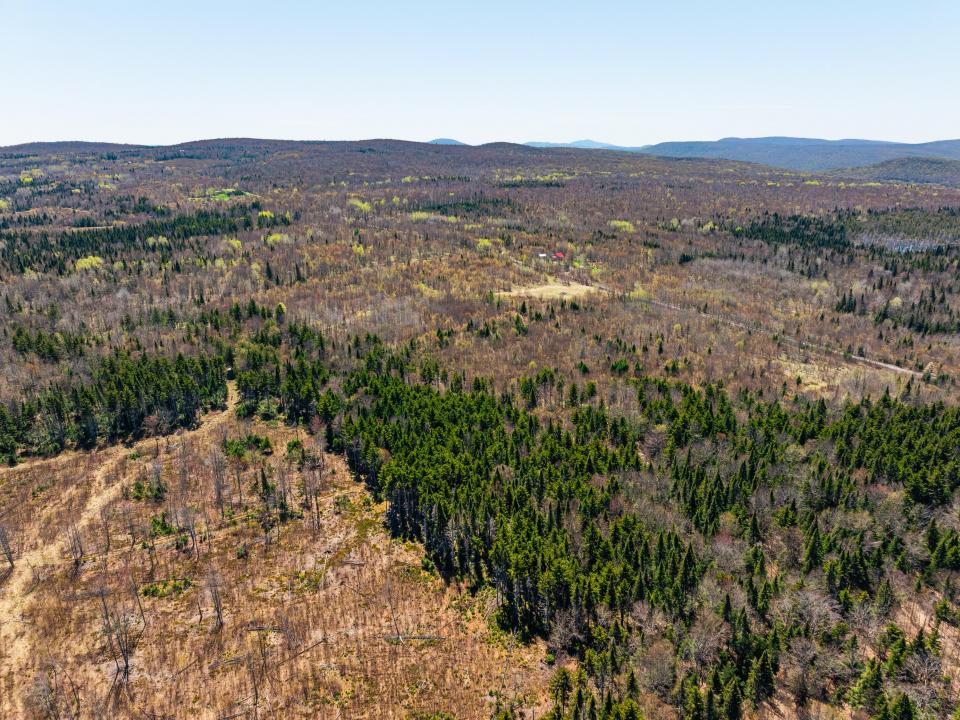 (11) Panther Lane Forest. Southwest View