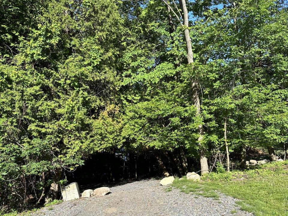 Path to lake