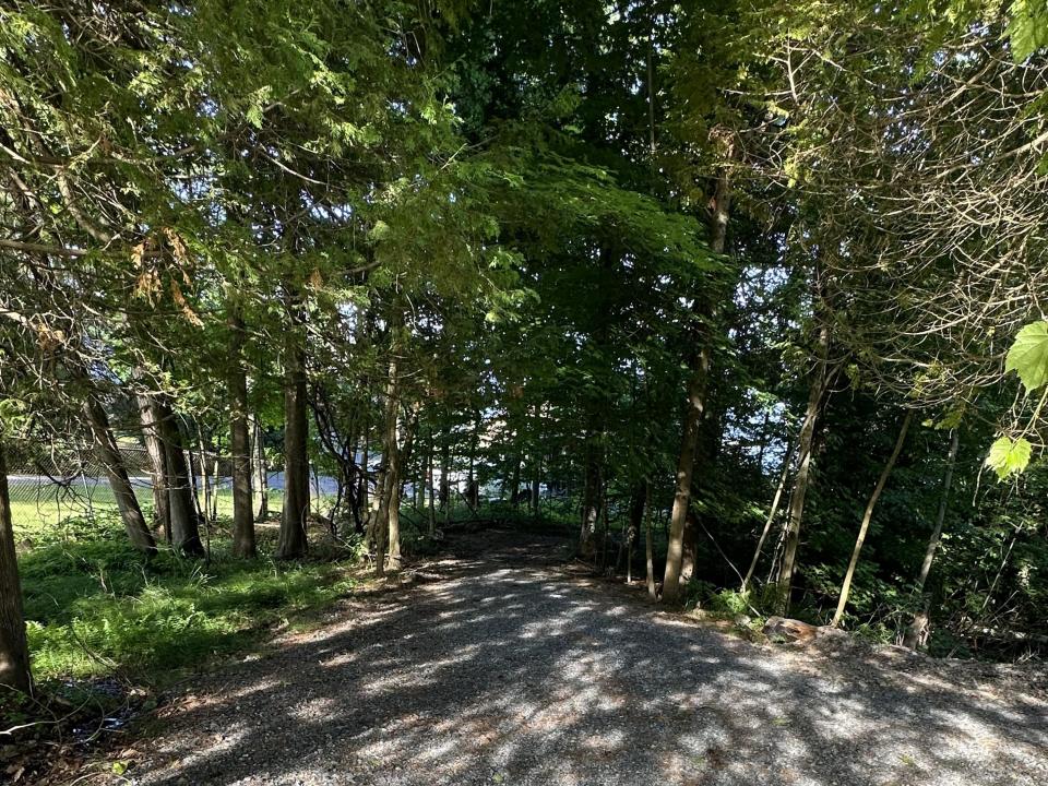 Path to lake