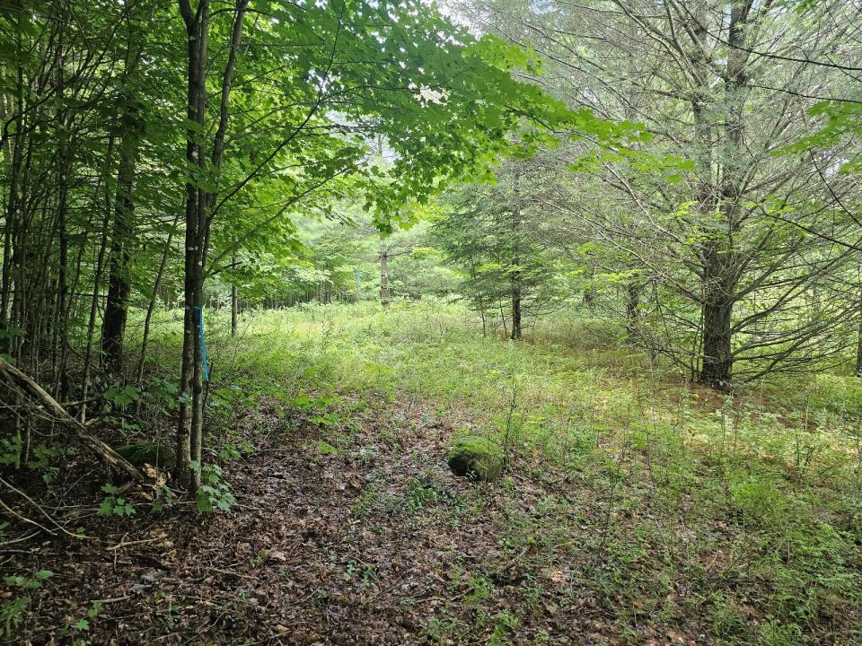 Black - ADK Mt - Childwold building area Black - ADK Mt - Childwold building area