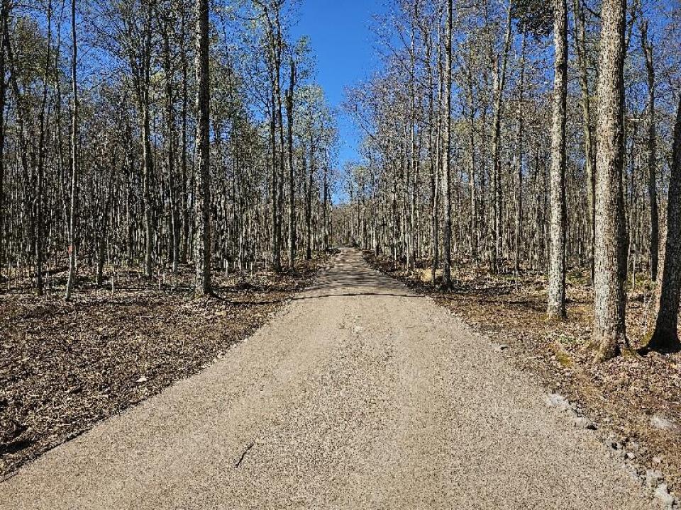 Black - ADK Mt - Childwold driveway new