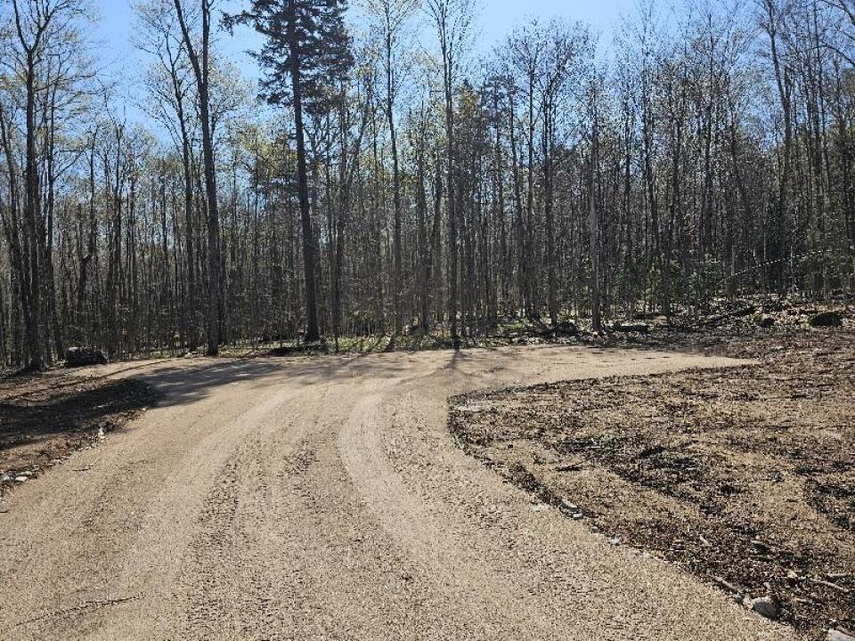 Black - ADK Mt - Childwold driveway new