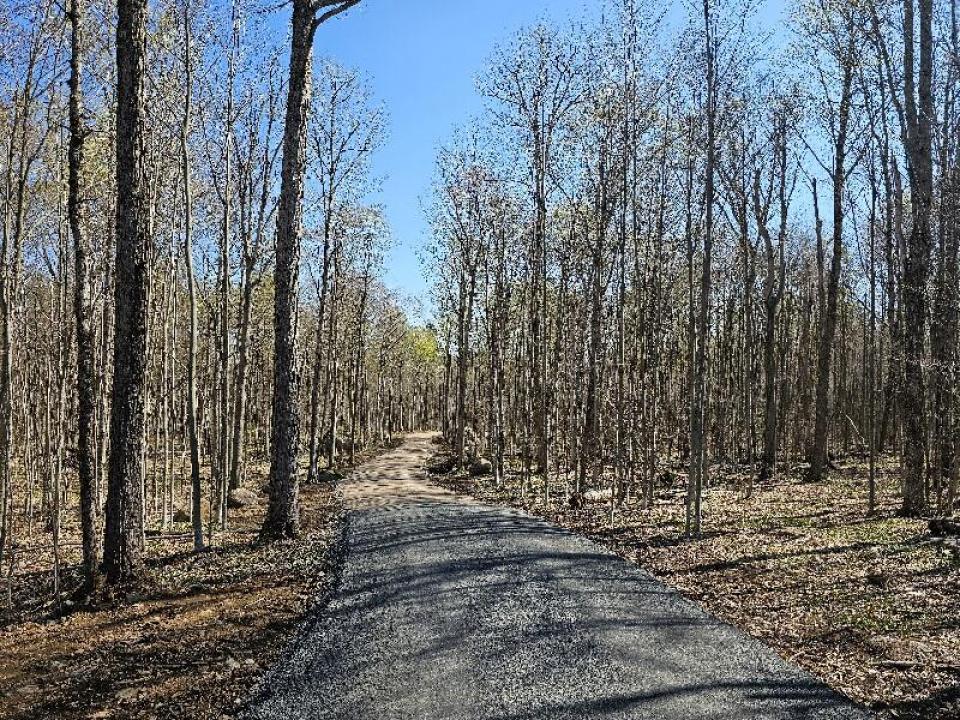 Black - ADK Mt - Childwold driveway new