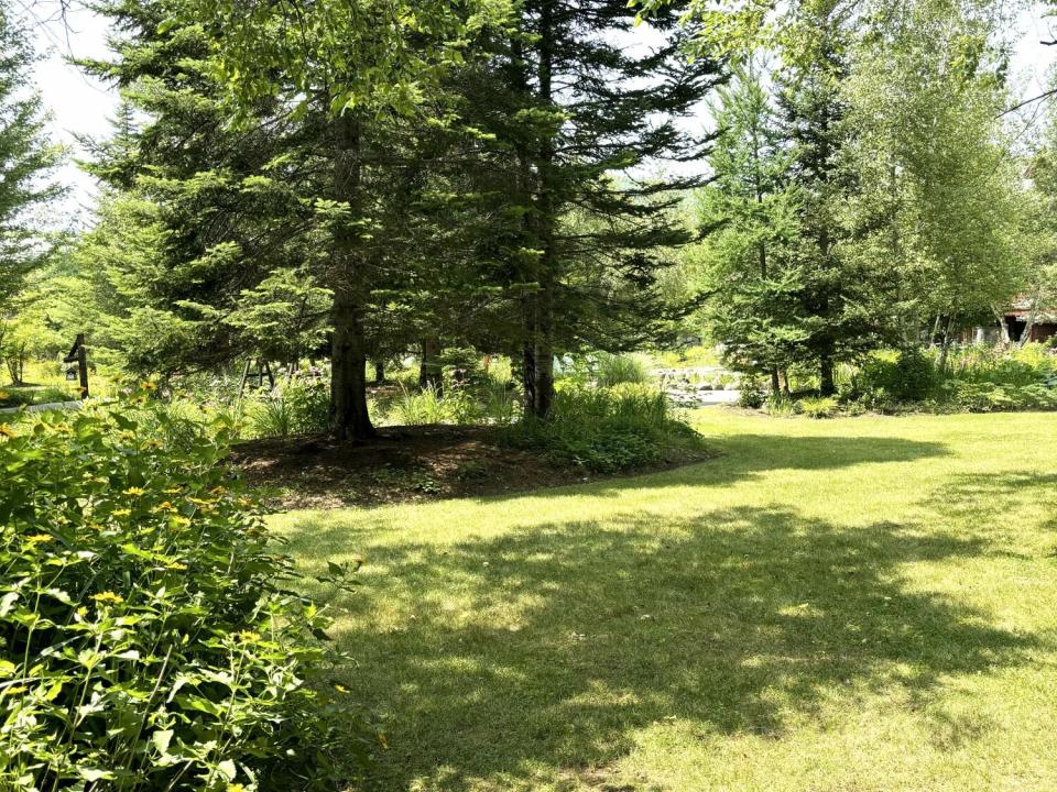 Green areas
