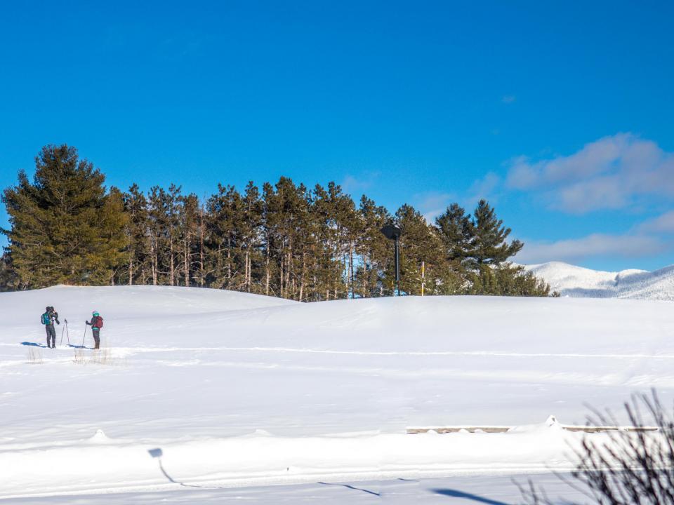 Colden lodge unit 12