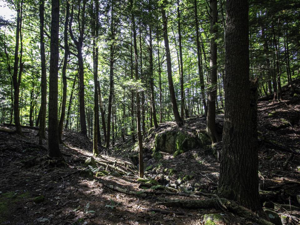 Wilson - Highlands Rd - kelly photo - wo