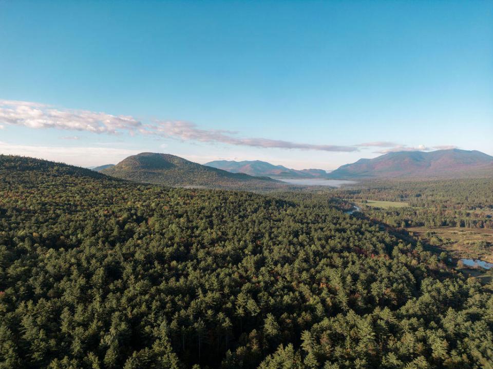 DJI_0446