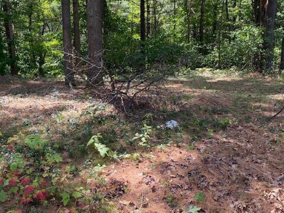 Site