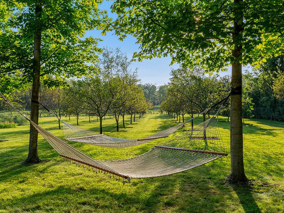 Orchard