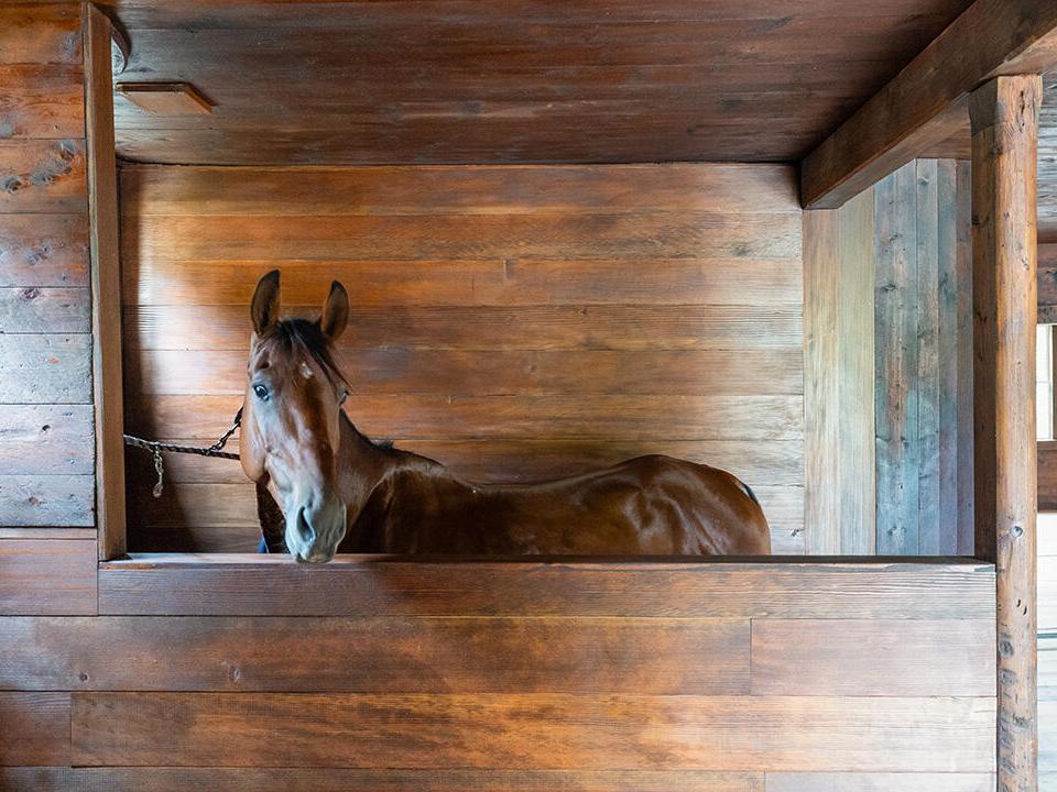 Barn Stall