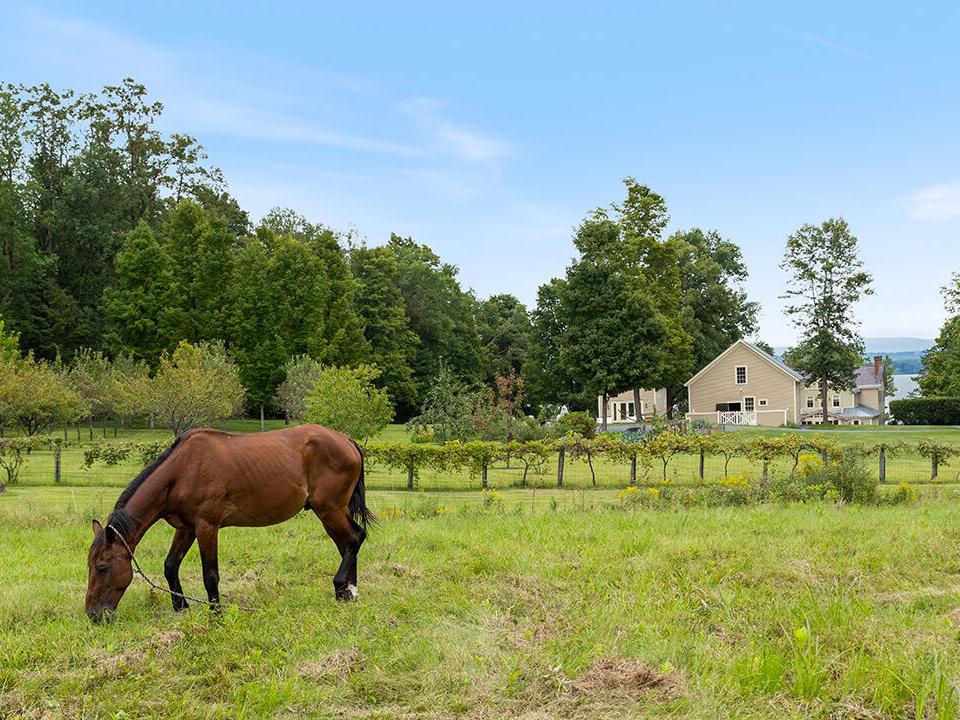 Pasture