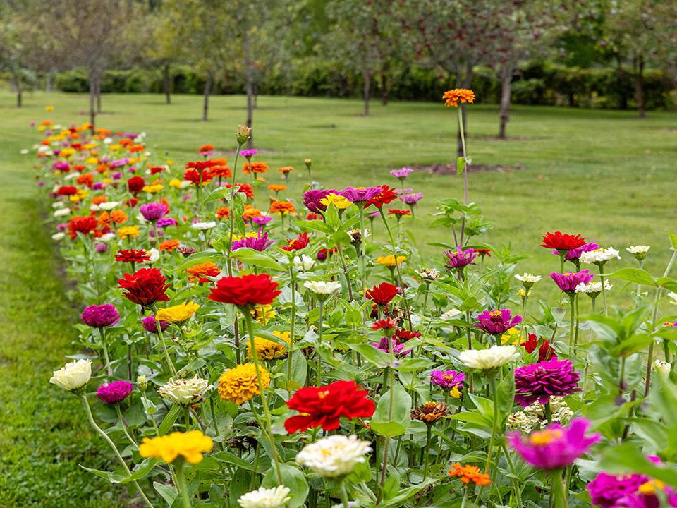 Gardens
