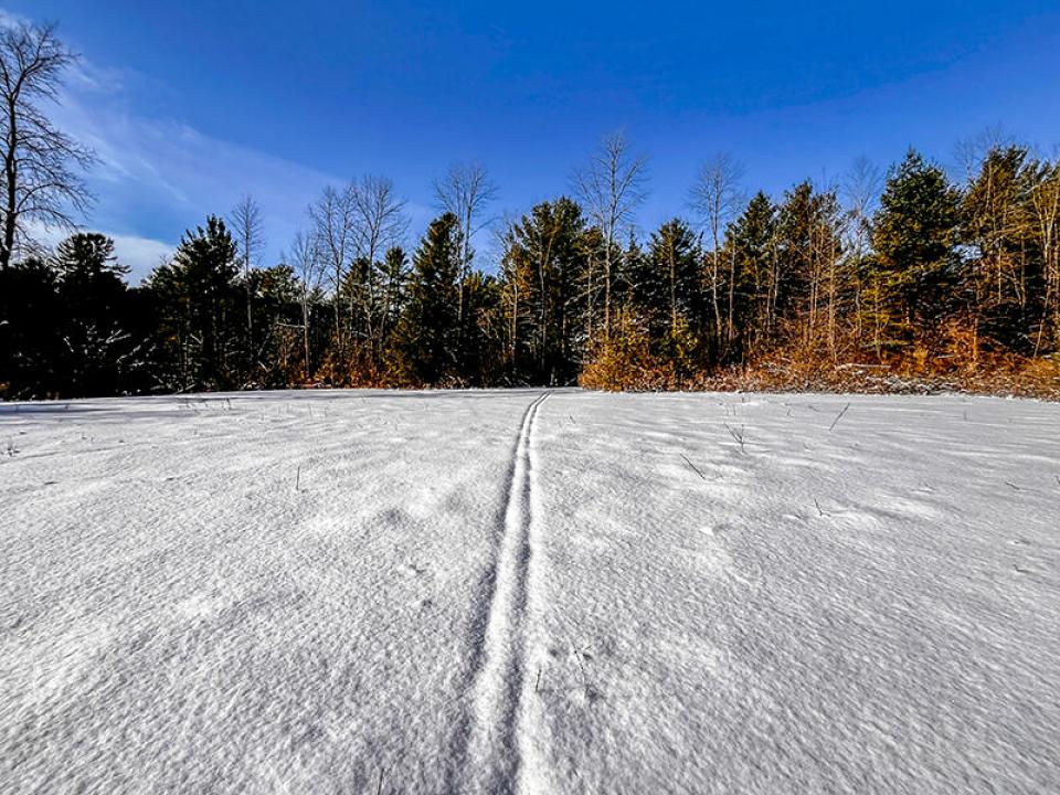 nbRosslynSnowFieldsHR-6811