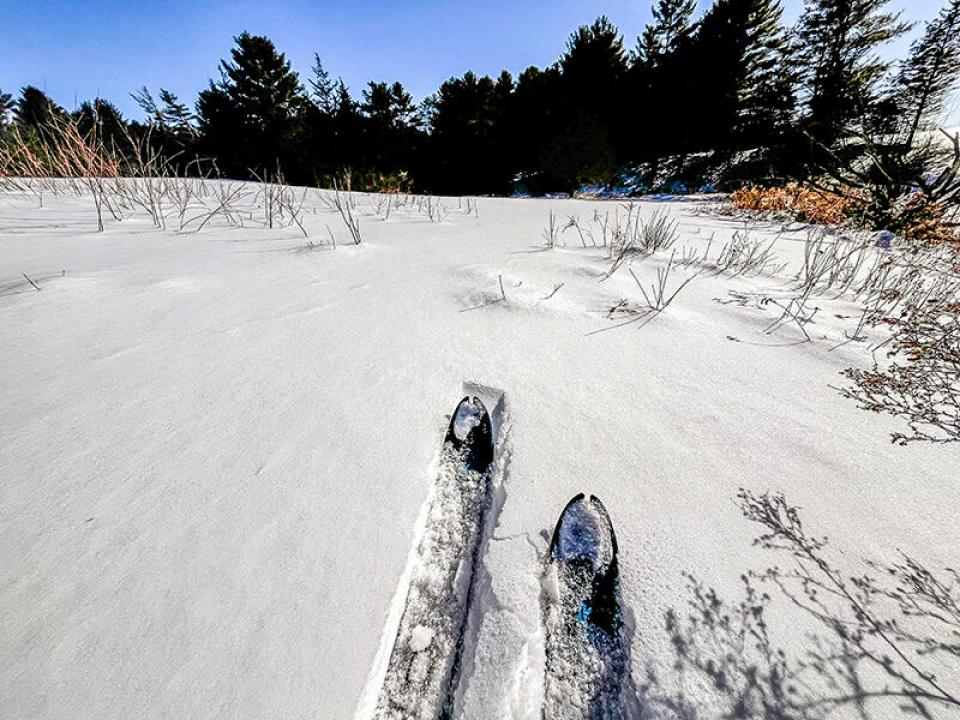 nbRosslynSnowFieldsHR-7042