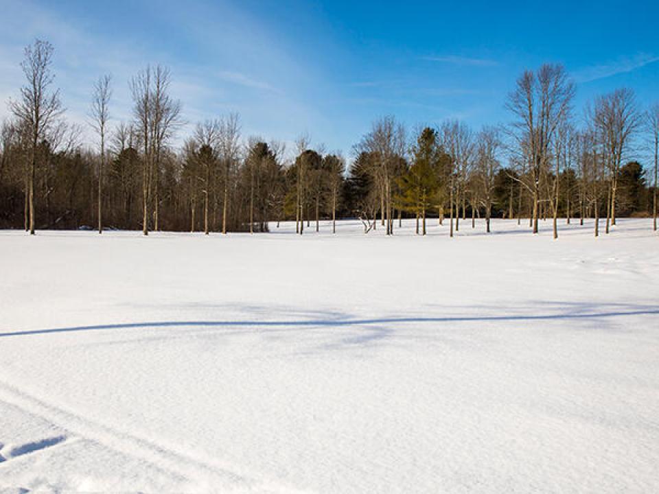 nbRosslynSnowFieldsHR-7523