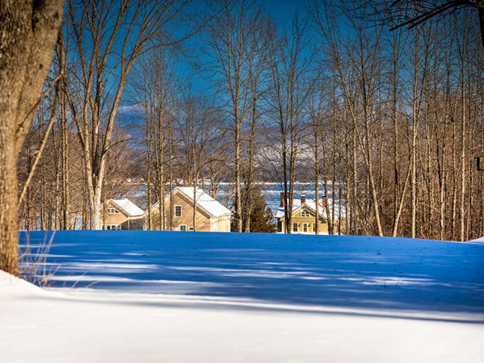 nbRosslynSnowFieldsHR-8085