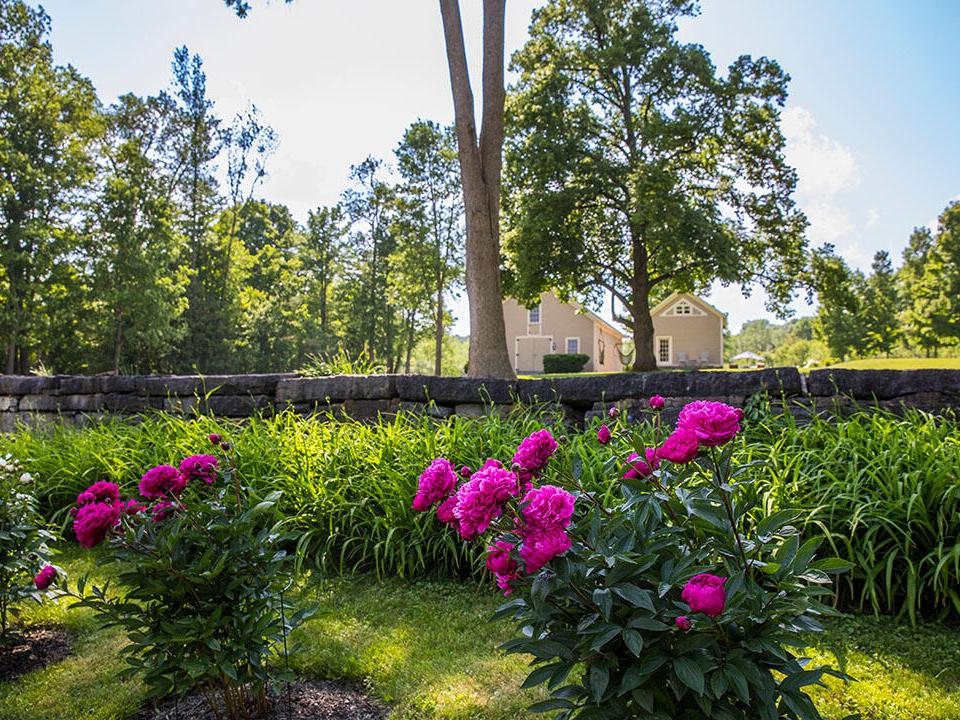 nbRosslyn2025JuneHR-7841