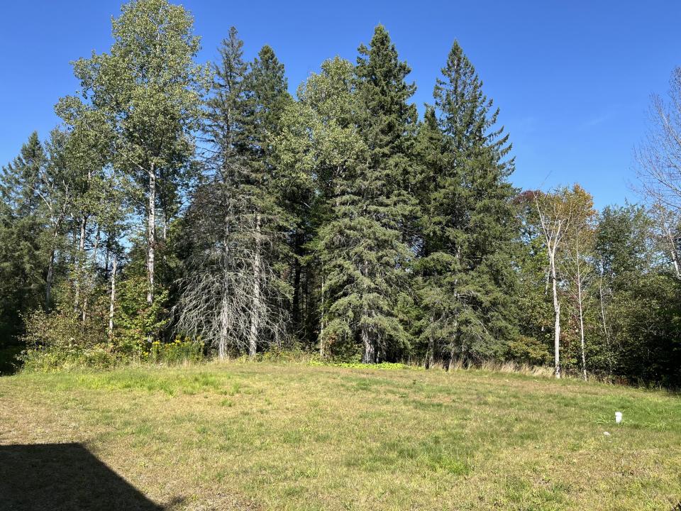 Leach Area
