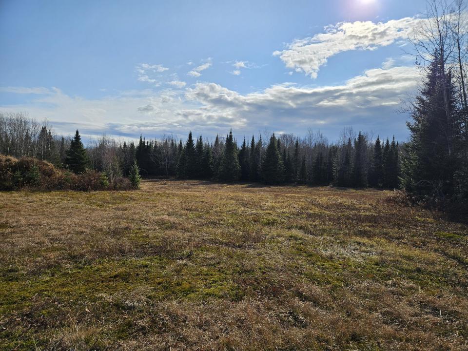 looking SE across field