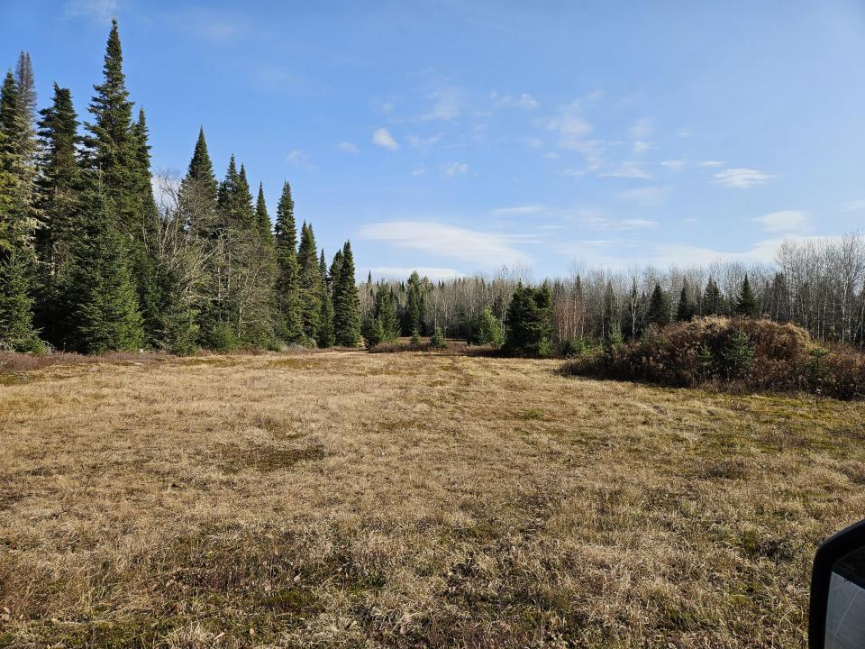 looking NE across field