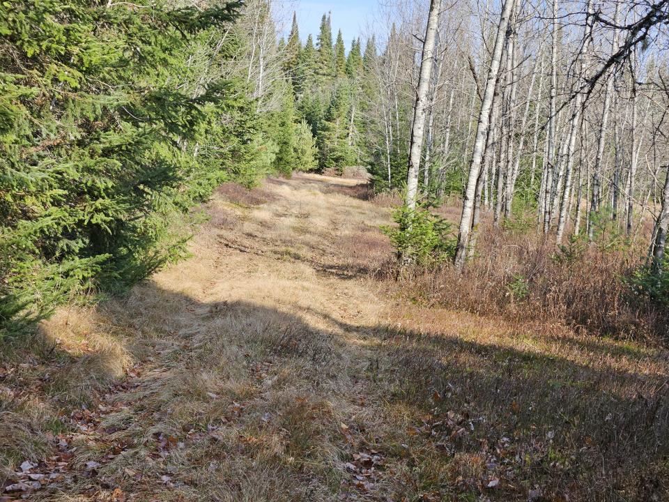 trail through lot