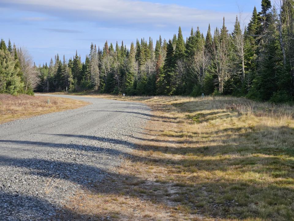 all of  road frontage on right