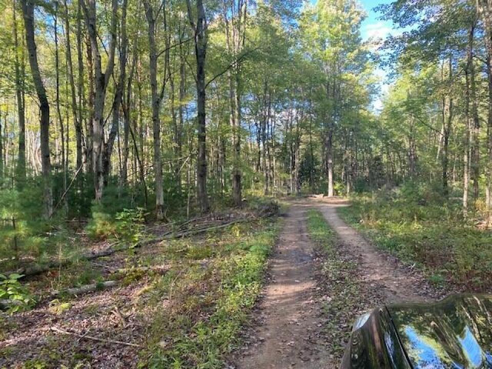 cty rt 55