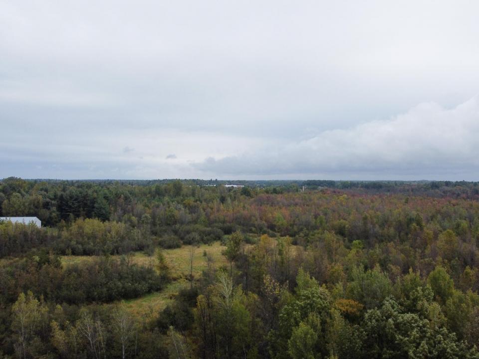 DJI_0490