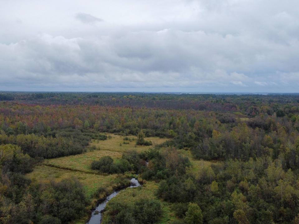 DJI_0502