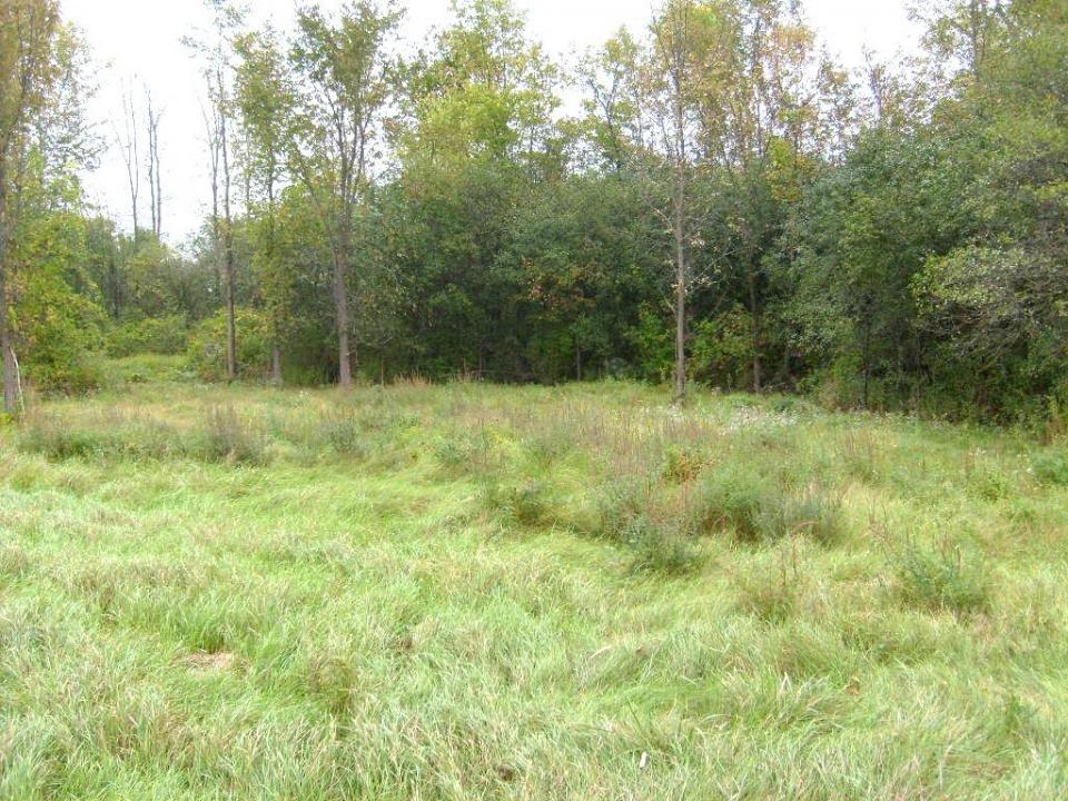 S6303154