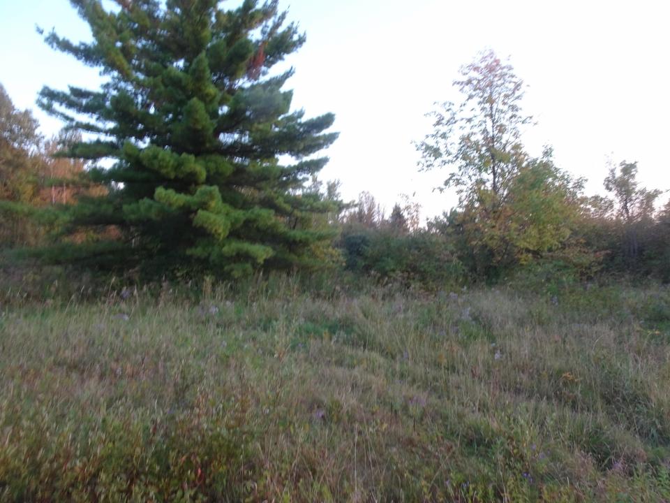 DSC01557