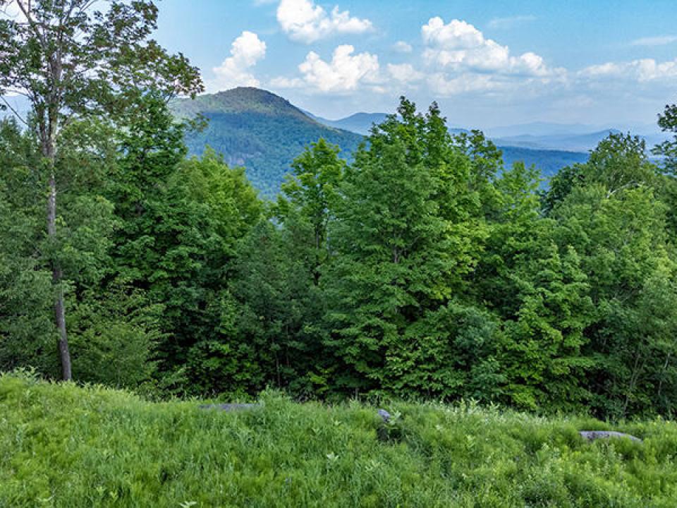 Lot15_16_On_Panorama_A_Lot_Low_Mtns