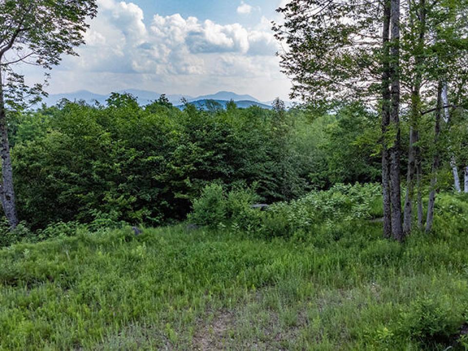 Lot15_16_On_Panorama_A_Lot_Low_Trees_Mtn