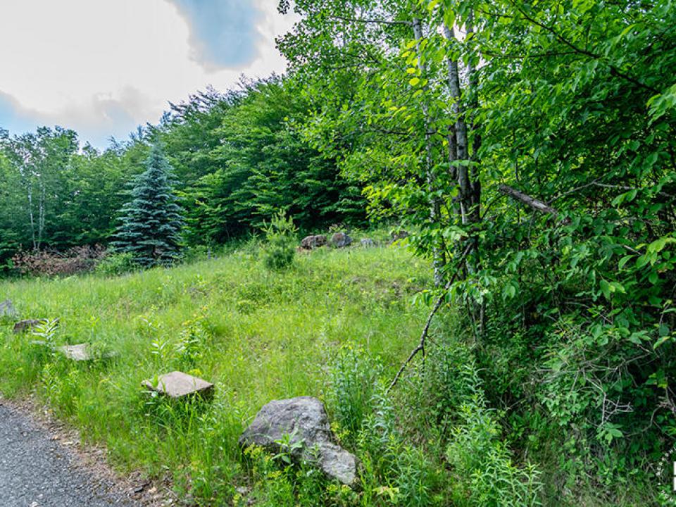 Lot15_16_On_Panorama_Lot_Cleared_Trees