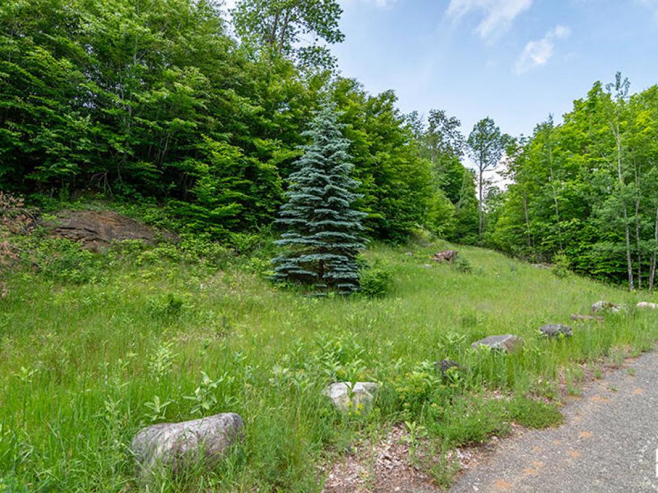Lot15_16_On_Panorama_Lot_Cleared