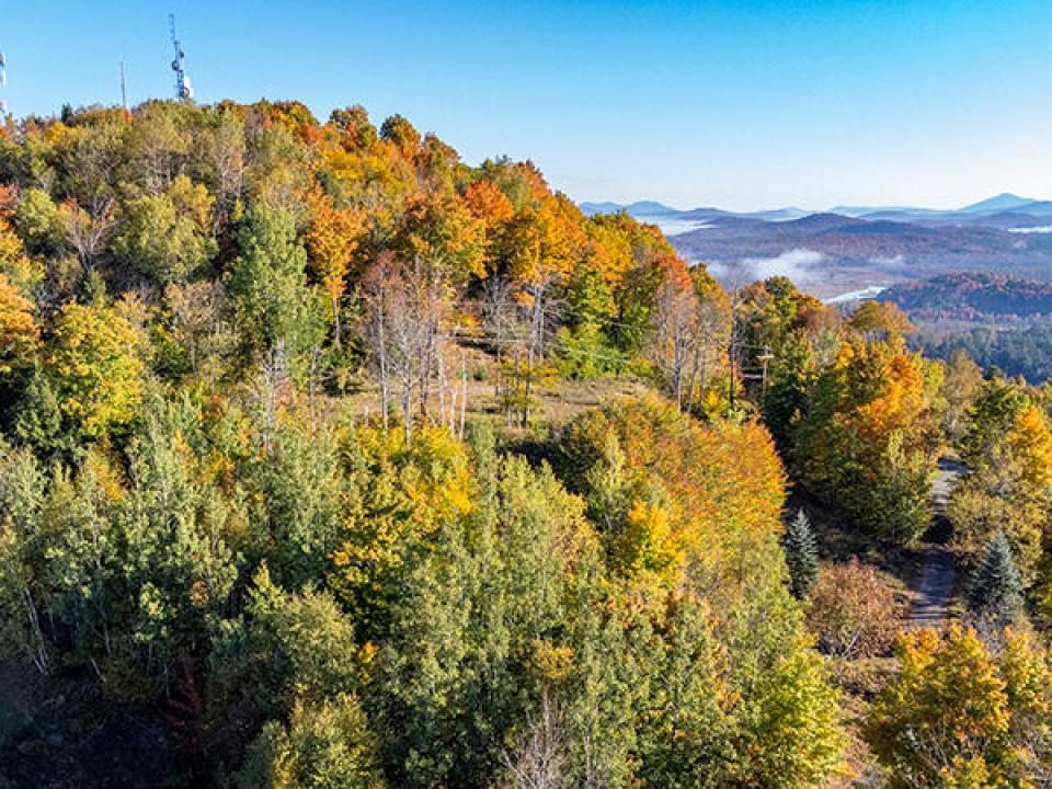 Lot1516OnPanorama_Fall_A_Lot_L