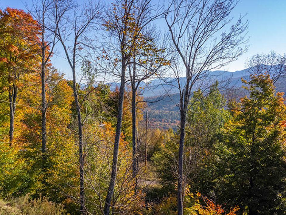 Lot1516OnPanorama_Fall_A_View_L