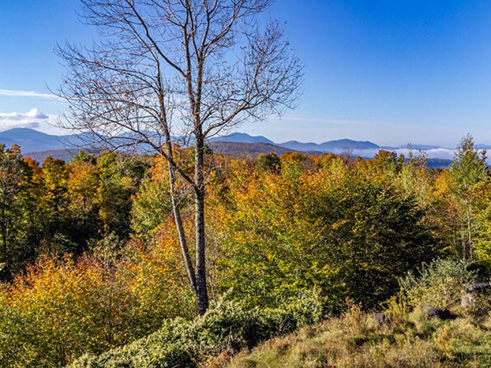 Lot1516OnPanorama_Fall_A_View_R