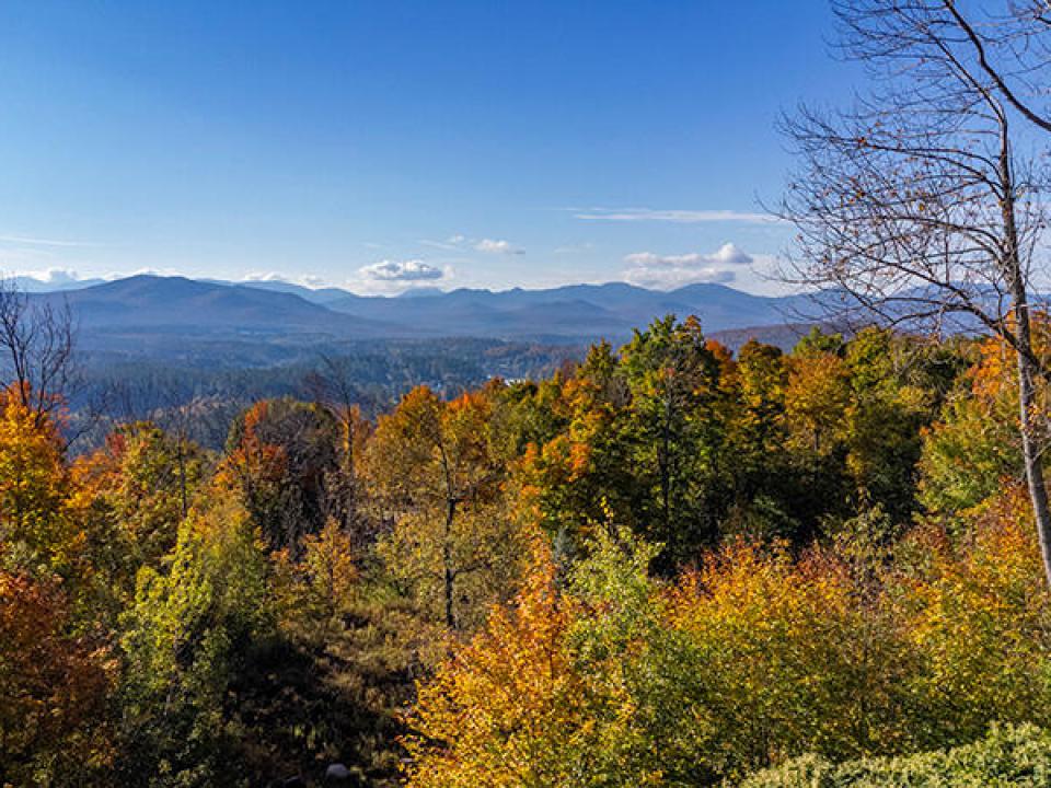 Lot1516OnPanorama_Fall_A_View_RM