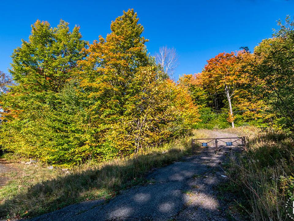 Lot1516OnPanorama_Fall_Driveway_To_Upper