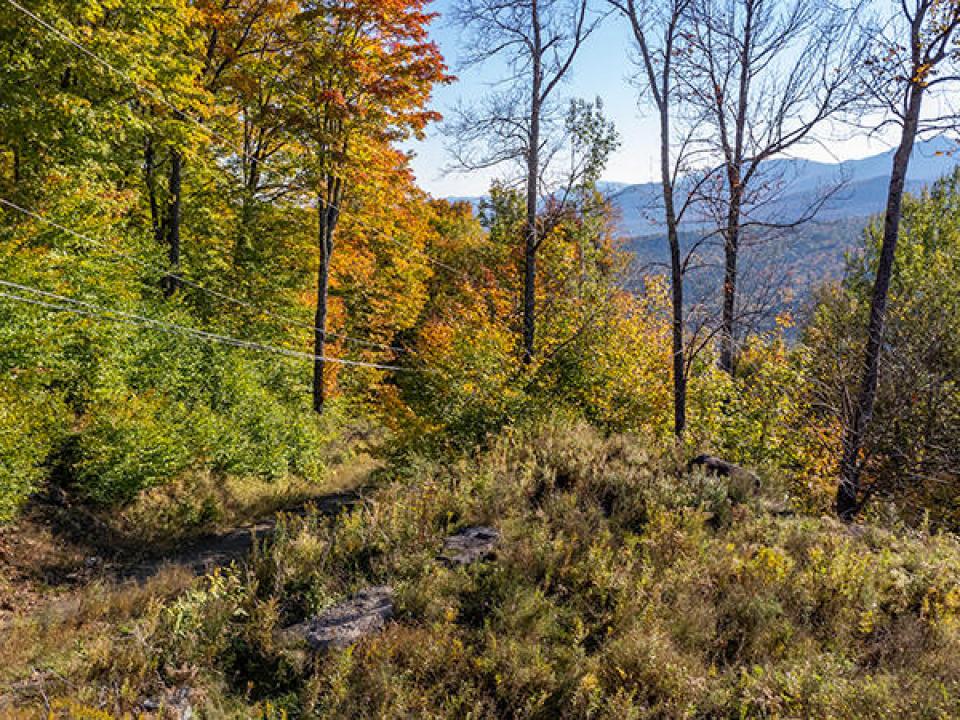 Lot1516OnPanorama_Fall_Driveway_UpperLot