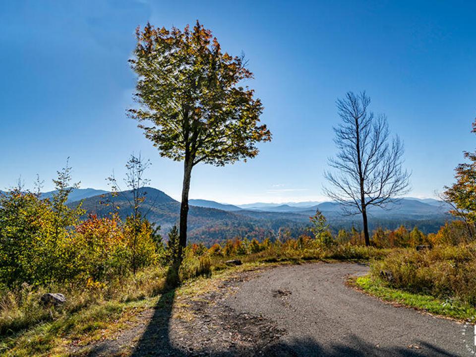 Lot1516OnPanorama_Fall_Driveway_View