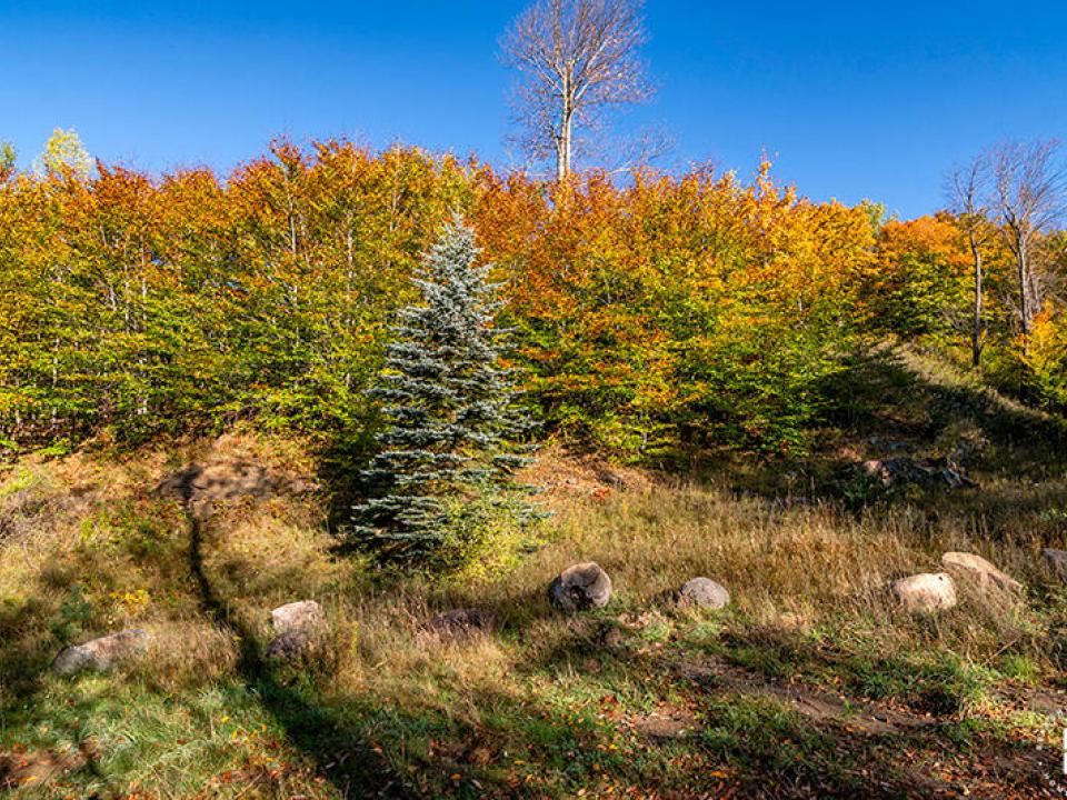 Lot1516OnPanorama_Fall_LowerLot
