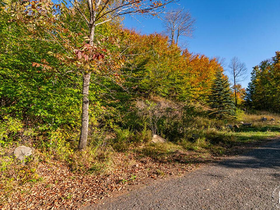 Lot1516OnPanorama_Fall_LowerLot_L